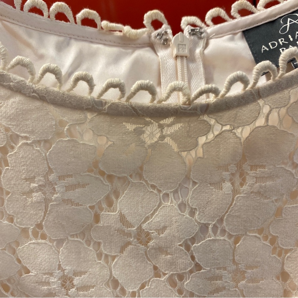 Adrianna Papell Lace Shift Dress in Cream | Size 12P - Picture 3 of 8
